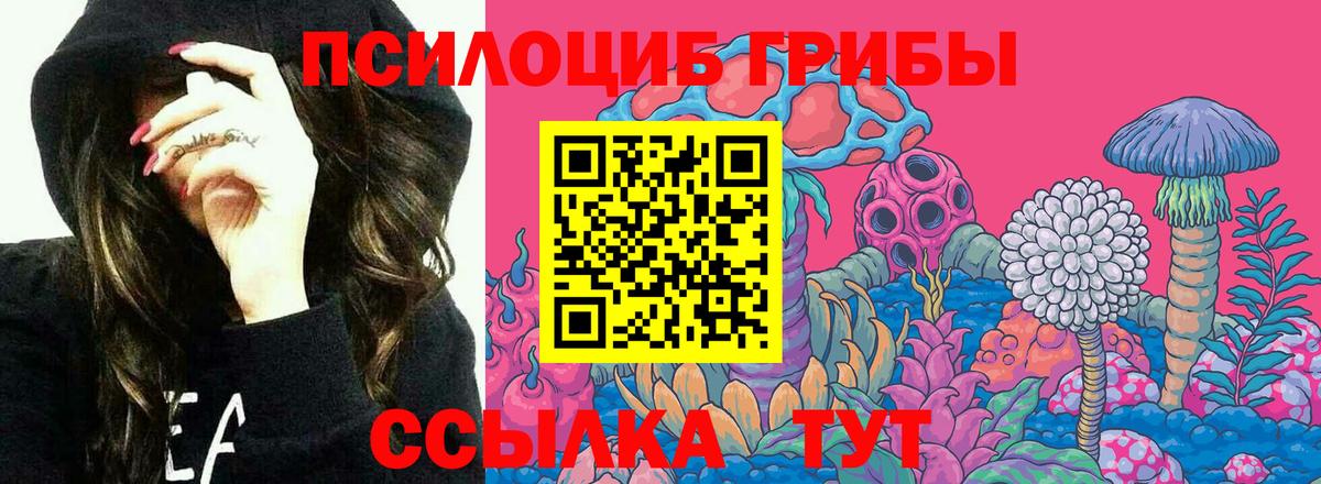 Псилоцибиновые грибы прущие грибы Дагестанские Огни