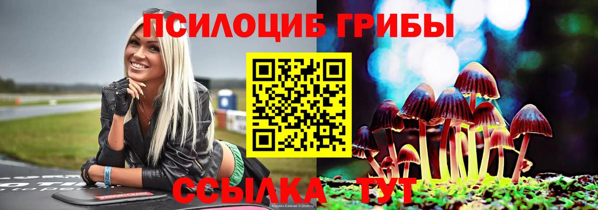цены наркотик  Вход с VPN  Псилоцибиновые грибы Psilocybe  Дагестанские Огни  Галлюциногенные грибы Psilocybe 