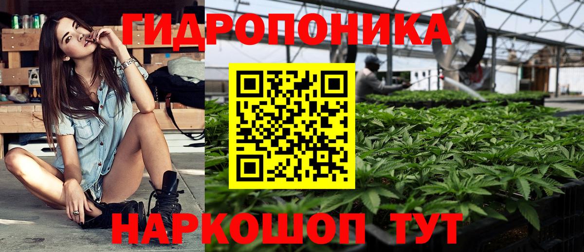 Бошки марихуана планчик  Вход с VPN  Каннабис сатива  Канабис AK-47  Дагестанские Огни 
